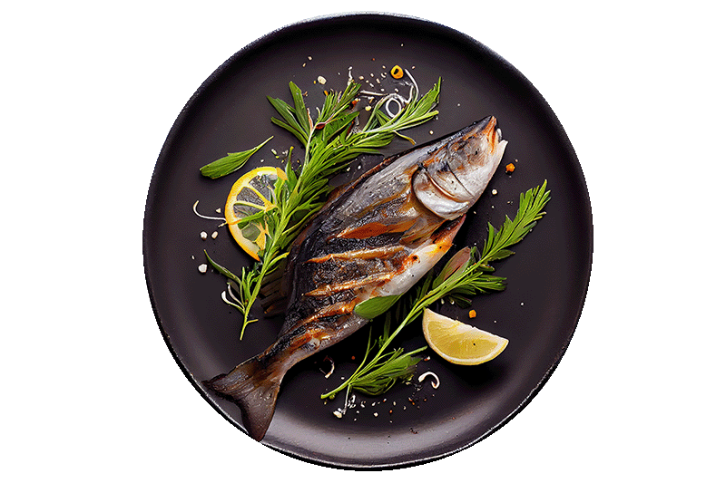 aluna anzibar fish plate grilledr